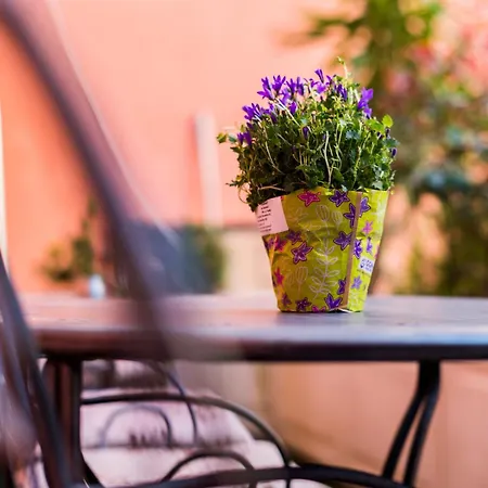 Apartmán Serenity *